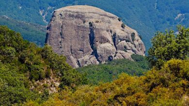 Pietra Cappa Aspromonte