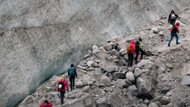 mer de glace carovana ghiacicai