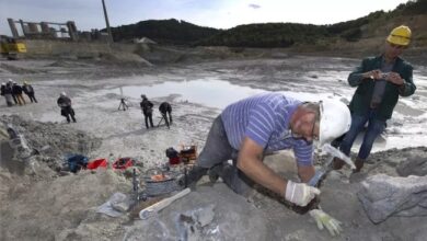 orobie ecosistema fossile