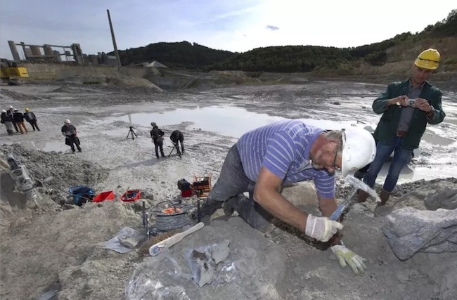 orobie ecosistema fossile