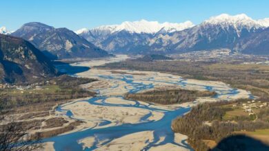 fiume tagliamento